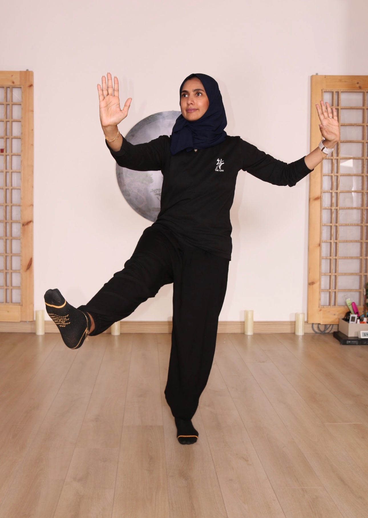 Qi gong and tai chi
